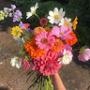 Meet your Posher, Katherine